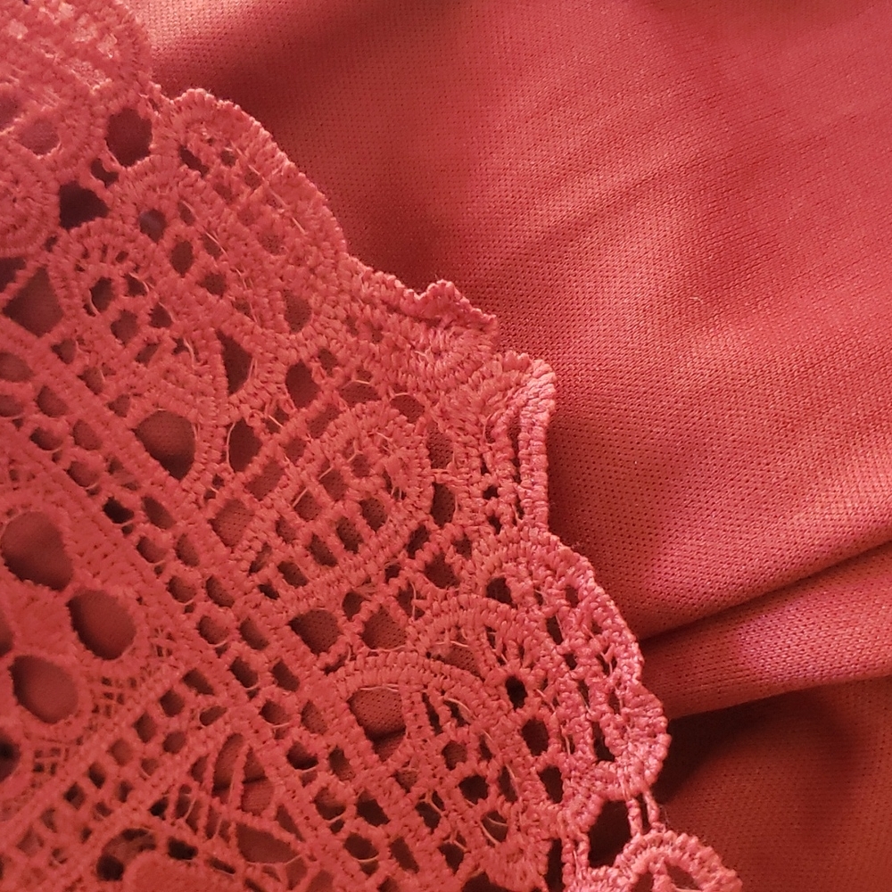 Sunday in Brooklyn lace top sold by Anthropologie and Sundance - Picture 5 of 6